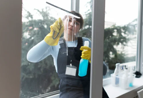 Nettoyage de vitres intérieures et extérieures à Laboutarie
